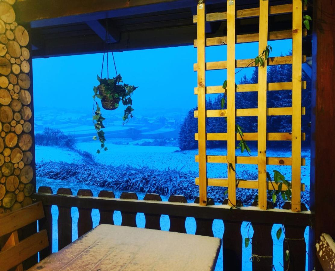 Holiday House Roko Sveti Ivan Zelina 外观 照片