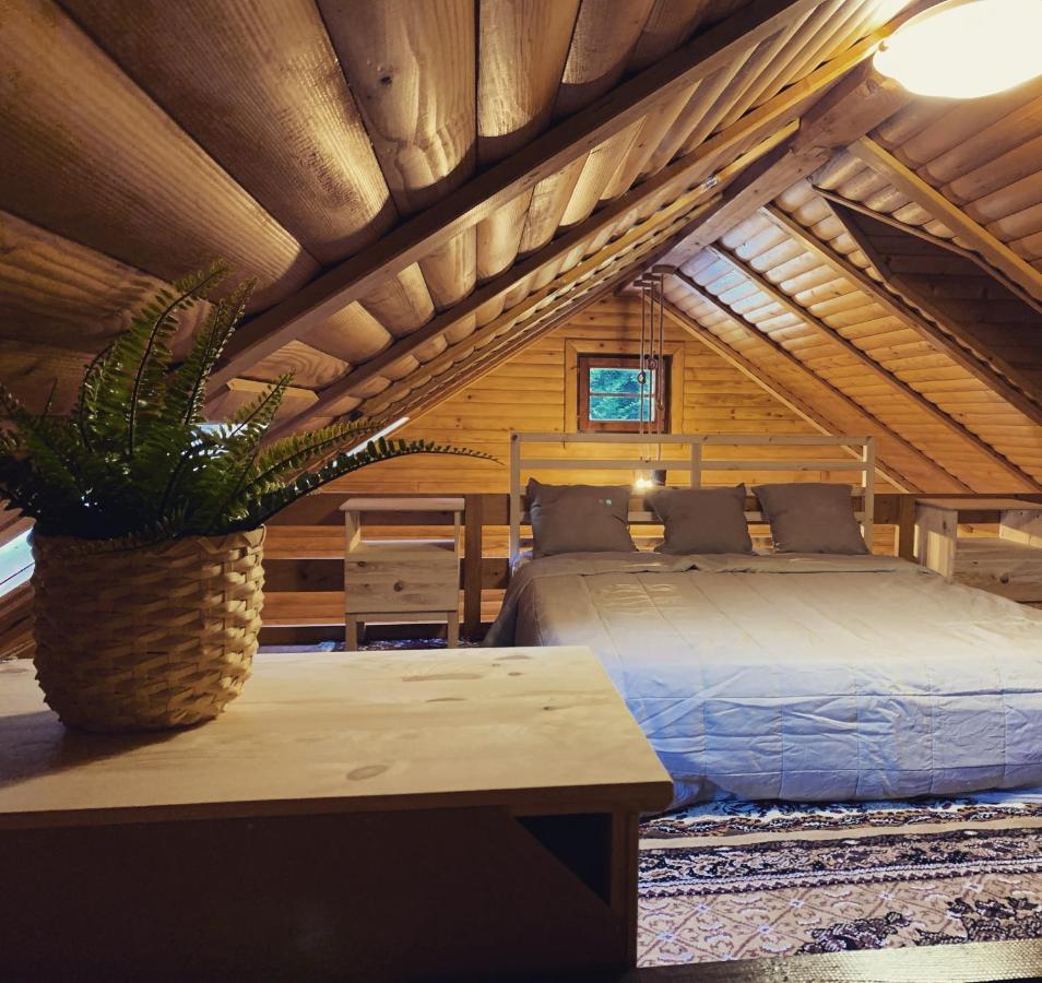 Holiday House Roko Sveti Ivan Zelina 外观 照片